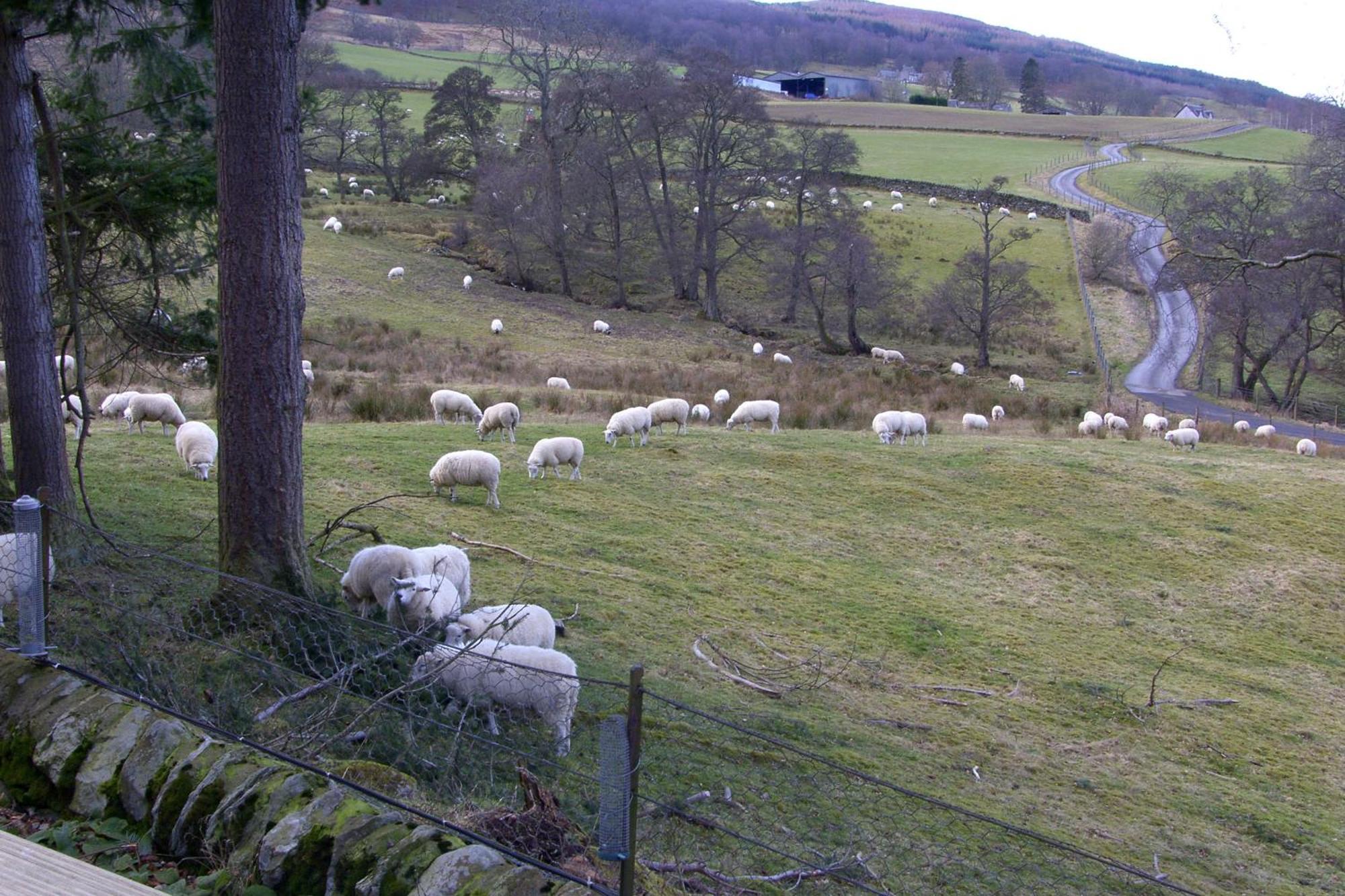 Brae House Bed & Breakfast Aberfeldy Exterior foto